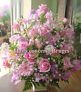 �A�����W�����g�@�s���N�n�@