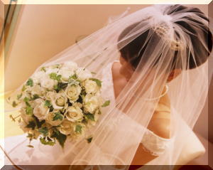 �u���C�_���u�[�P�@���s���͋��������ɉ��܂ł��͂��������܂��B