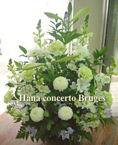 �����ԁ@�A�����W�����g�@�̐l���ÂԂɂӂ��킵�����Ԃ����p�ӂ������܂��B